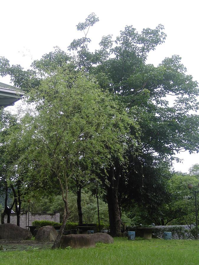 Fumei Bluebird Homestay 난좡 외부 사진