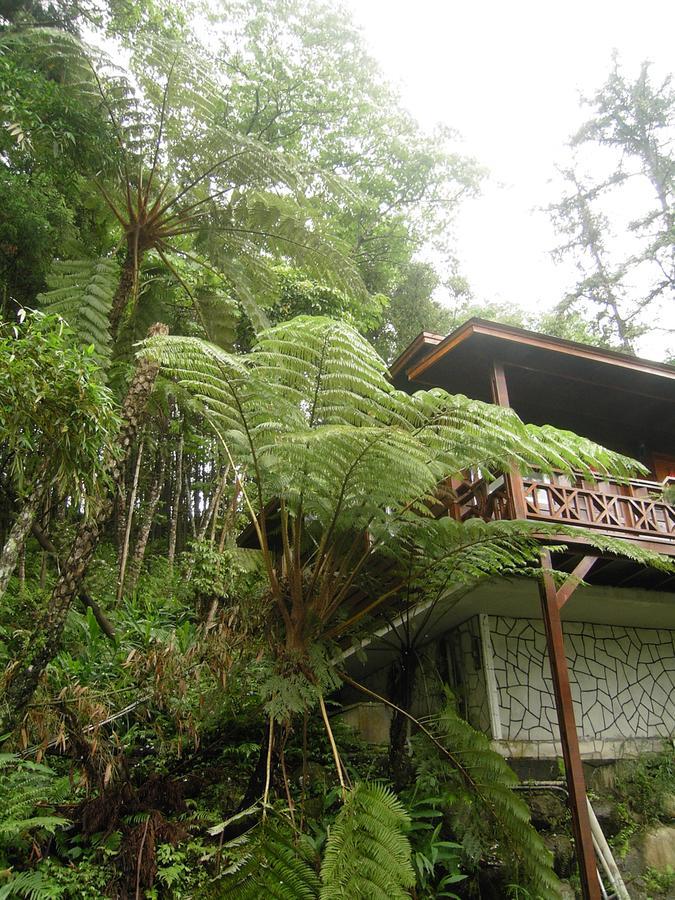Fumei Bluebird Homestay 난좡 외부 사진