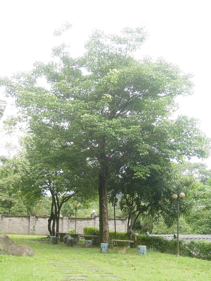 Fumei Bluebird Homestay 난좡 외부 사진